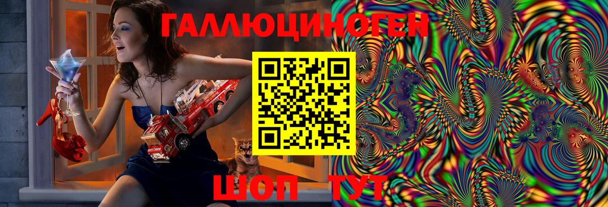 Псилоцибиновые грибы GOLDEN TEACHER  Вход с VPN  Изобильный  Псилоцибиновые грибы Psilocybine cubensis 