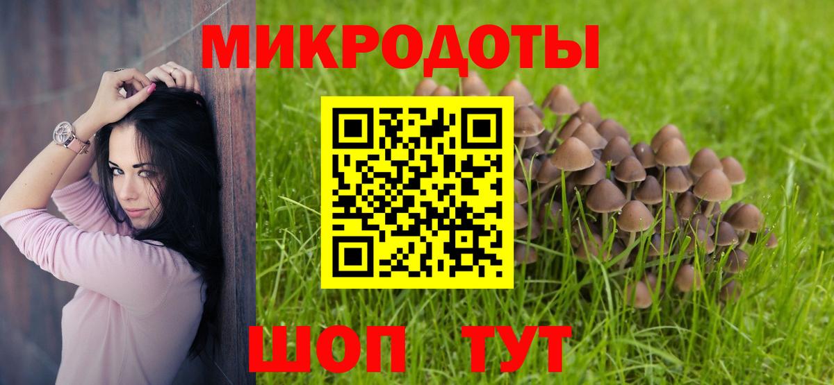 Псилоцибиновые грибы Cubensis Изобильный